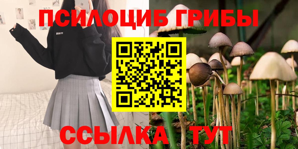 Псилоцибиновые грибы Psilocybine cubensis  где продают   Орехово-Зуево  Вход с VPN 